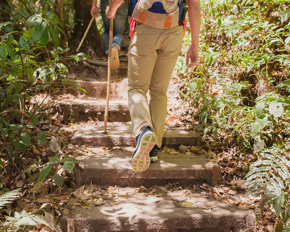 Senderos para caminatas
